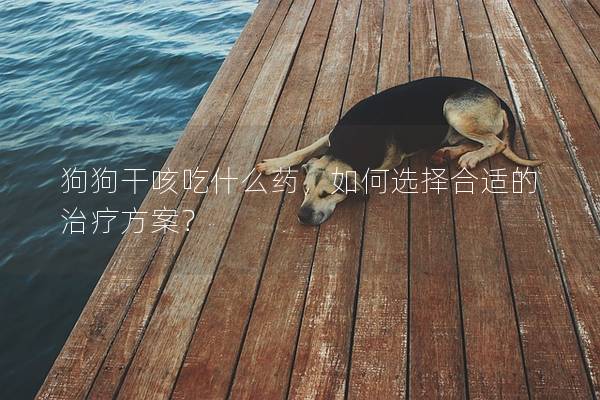 狗狗干咳吃什么药，如何选择合适的治疗方案？