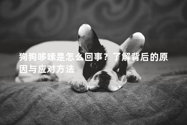 狗狗哆嗦是怎么回事？了解背后的原因与应对方法