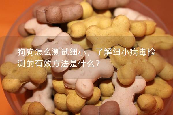 狗狗怎么测试细小，了解细小病毒检测的有效方法是什么？