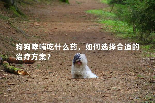 狗狗哮喘吃什么药，如何选择合适的治疗方案？