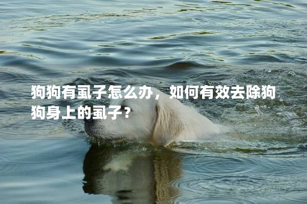 狗狗有虱子怎么办，如何有效去除狗狗身上的虱子？