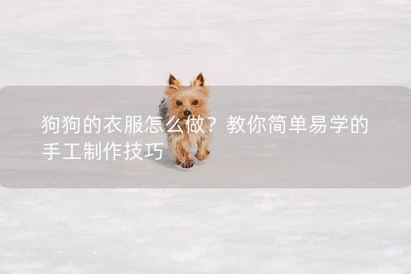 狗狗的衣服怎么做？教你简单易学的手工制作技巧