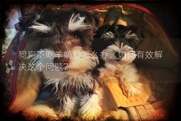 狗狗不吃羊奶粉怎么办，如何有效解决这个问题？