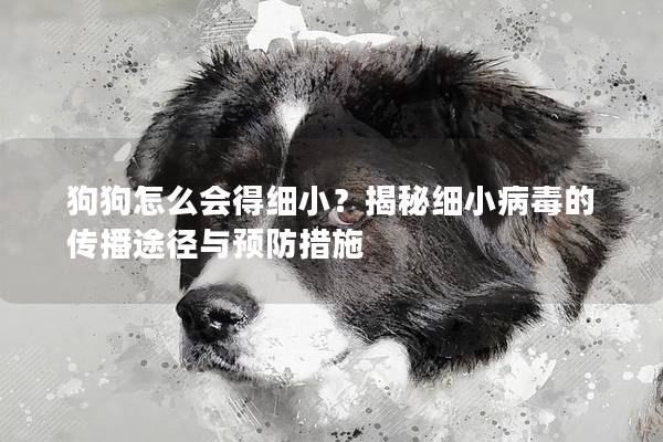 狗狗怎么会得细小？揭秘细小病毒的传播途径与预防措施