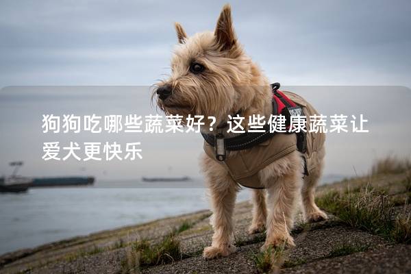 狗狗吃哪些蔬菜好？这些健康蔬菜让爱犬更快乐