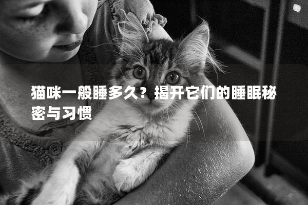 猫咪一般睡多久？揭开它们的睡眠秘密与习惯