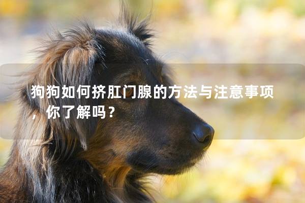 狗狗如何挤肛门腺的方法与注意事项，你了解吗？