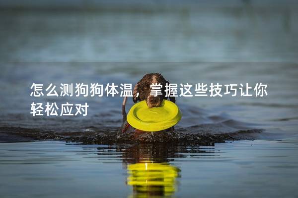 怎么测狗狗体温，掌握这些技巧让你轻松应对
