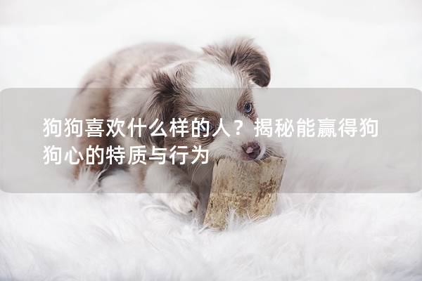 狗狗喜欢什么样的人？揭秘能赢得狗狗心的特质与行为