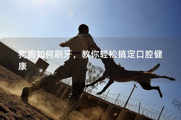 狗狗如何刷牙，教你轻松搞定口腔健康