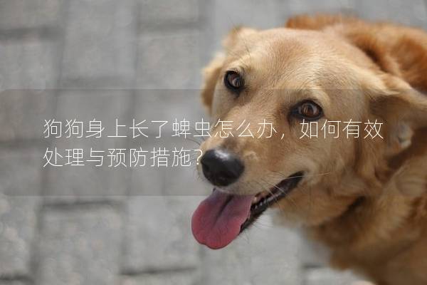 狗狗身上长了蜱虫怎么办，如何有效处理与预防措施？