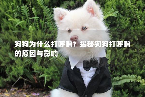 狗狗为什么打呼噜？揭秘狗狗打呼噜的原因与影响