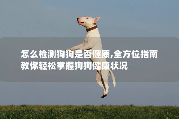 怎么检测狗狗是否健康,全方位指南教你轻松掌握狗狗健康状况