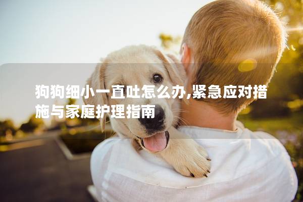 狗狗细小一直吐怎么办,紧急应对措施与家庭护理指南