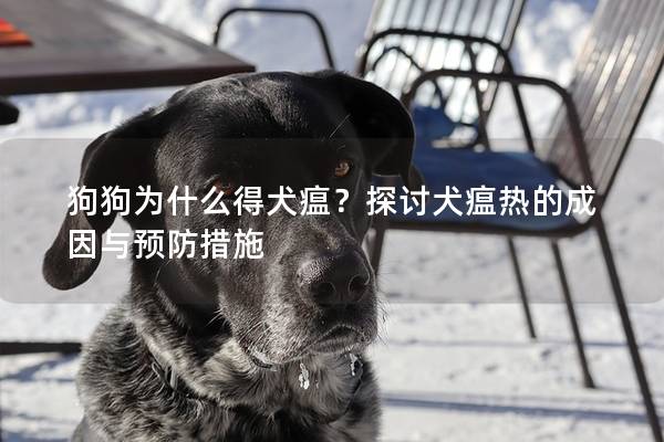 狗狗为什么得犬瘟？探讨犬瘟热的成因与预防措施