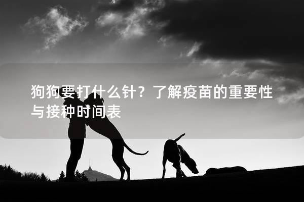 狗狗要打什么针？了解疫苗的重要性与接种时间表