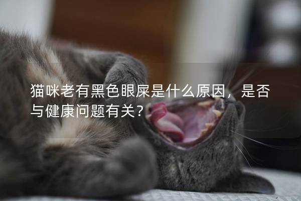 猫咪老有黑色眼屎是什么原因，是否与健康问题有关？