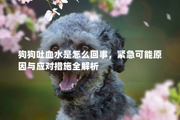狗狗吐血水是怎么回事，紧急可能原因与应对措施全解析