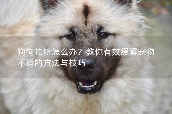 狗狗抽筋怎么办？教你有效缓解宠物不适的方法与技巧