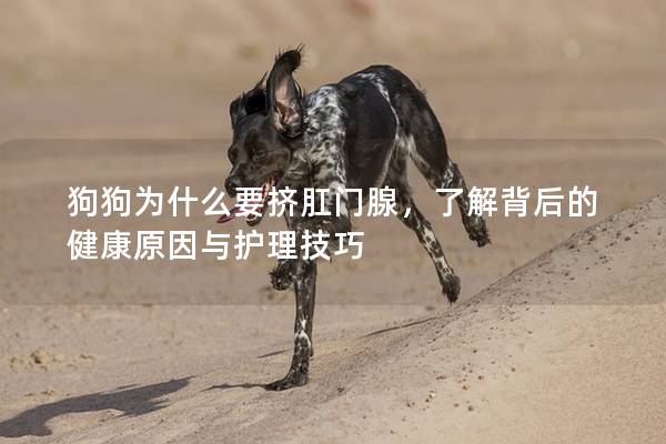 狗狗为什么要挤肛门腺，了解背后的健康原因与护理技巧