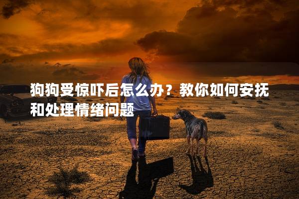 狗狗受惊吓后怎么办？教你如何安抚和处理情绪问题