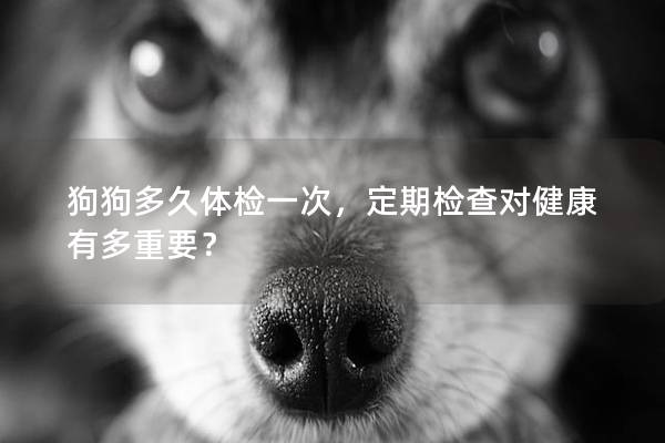 狗狗多久体检一次，定期检查对健康有多重要？