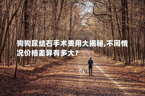 狗狗尿结石手术费用大揭秘,不同情况价格差异有多大？