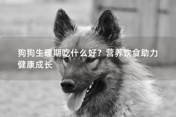 狗狗生理期吃什么好？营养饮食助力健康成长