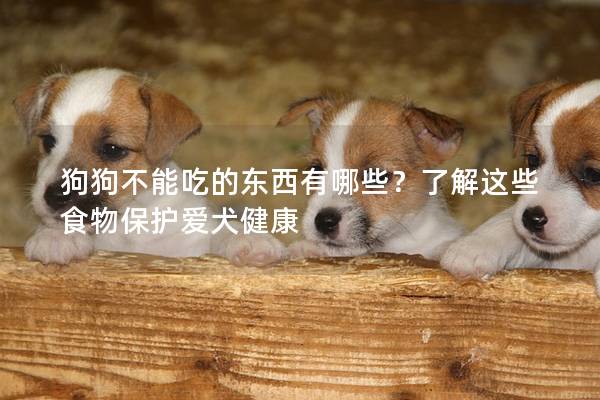 狗狗不能吃的东西有哪些？了解这些食物保护爱犬健康