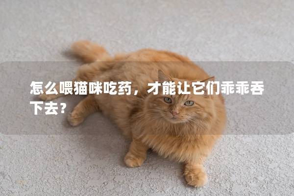 怎么喂猫咪吃药，才能让它们乖乖吞下去？