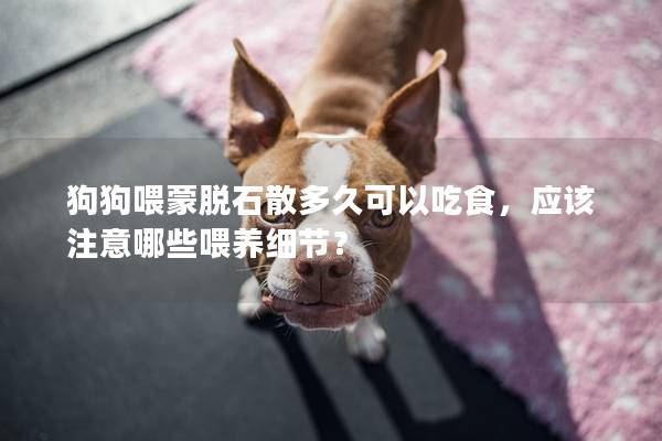 狗狗喂蒙脱石散多久可以吃食，应该注意哪些喂养细节？