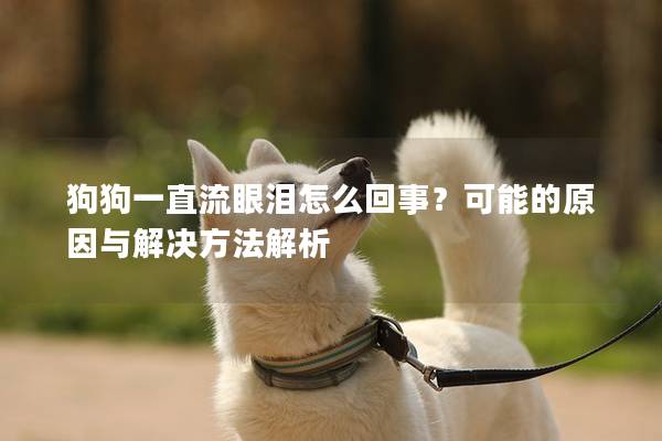 狗狗一直流眼泪怎么回事？可能的原因与解决方法解析