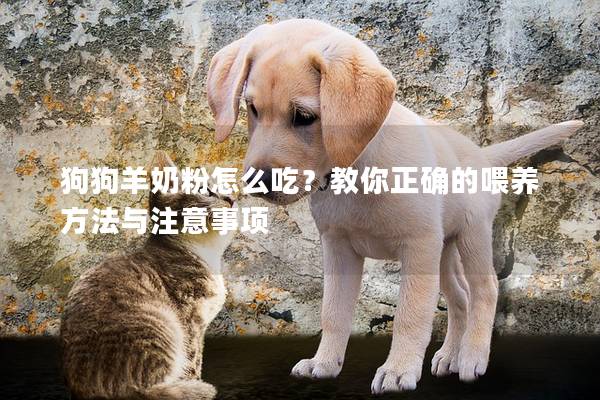 狗狗羊奶粉怎么吃？教你正确的喂养方法与注意事项