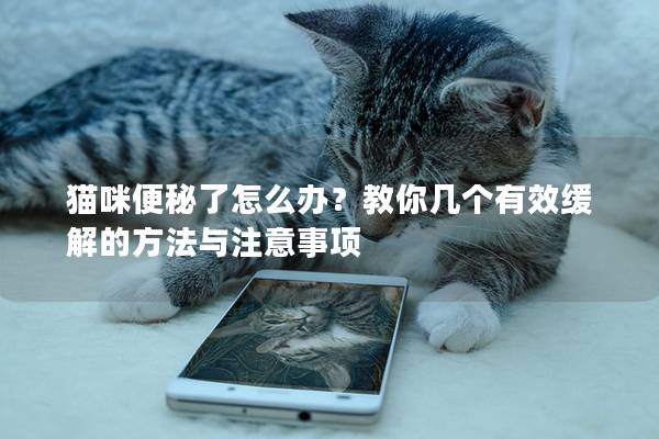猫咪便秘了怎么办？教你几个有效缓解的方法与注意事项