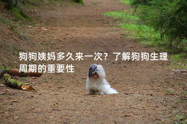 狗狗姨妈多久来一次？了解狗狗生理周期的重要性