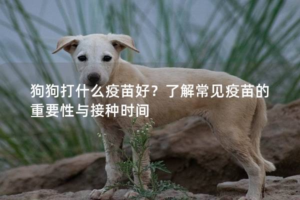 狗狗打什么疫苗好？了解常见疫苗的重要性与接种时间