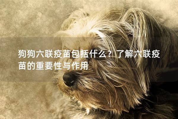 狗狗六联疫苗包括什么？了解六联疫苗的重要性与作用