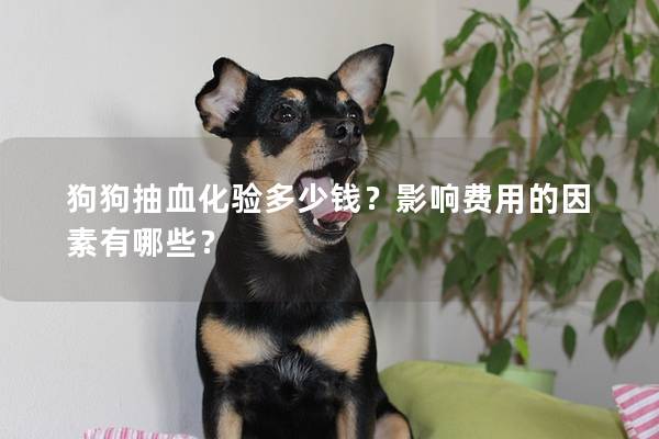 狗狗抽血化验多少钱？影响费用的因素有哪些？