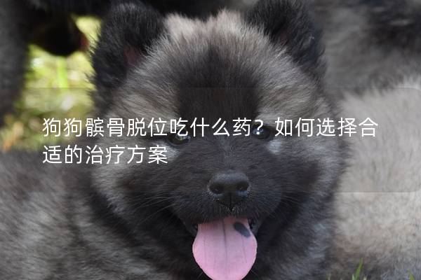 狗狗髌骨脱位吃什么药？如何选择合适的治疗方案
