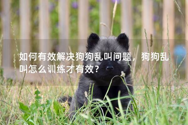 如何有效解决狗狗乱叫问题，狗狗乱叫怎么训练才有效？
