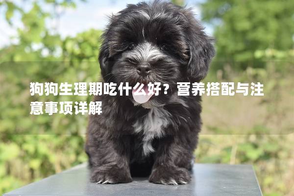 狗狗生理期吃什么好？营养搭配与注意事项详解