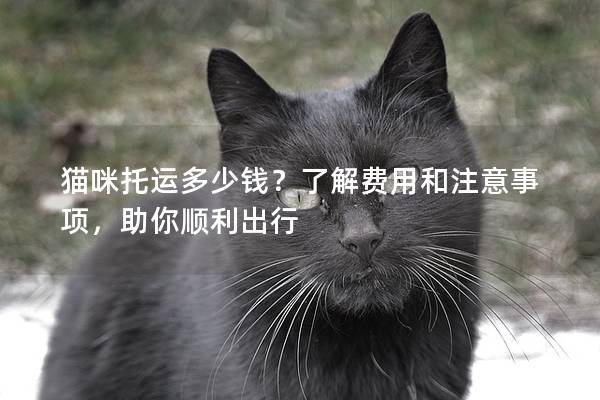 猫咪托运多少钱？了解费用和注意事项，助你顺利出行