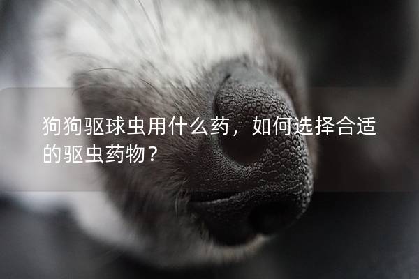 狗狗驱球虫用什么药，如何选择合适的驱虫药物？