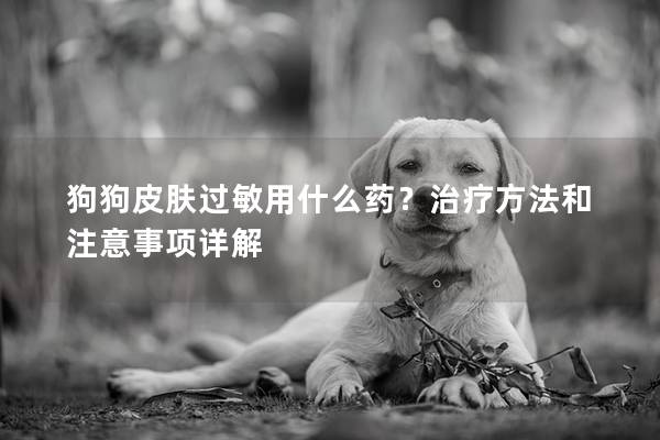 狗狗皮肤过敏用什么药？治疗方法和注意事项详解