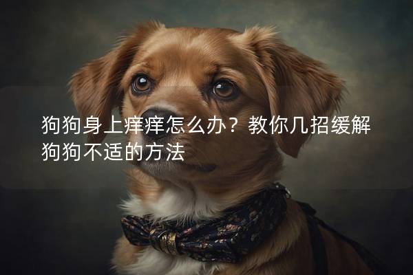 狗狗身上痒痒怎么办？教你几招缓解狗狗不适的方法