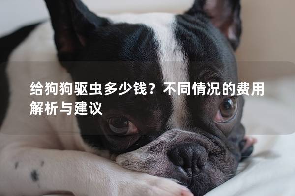 给狗狗驱虫多少钱？不同情况的费用解析与建议