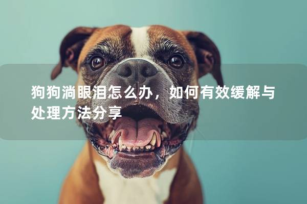 狗狗淌眼泪怎么办，如何有效缓解与处理方法分享