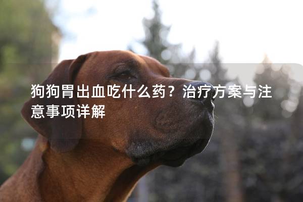 狗狗胃出血吃什么药？治疗方案与注意事项详解