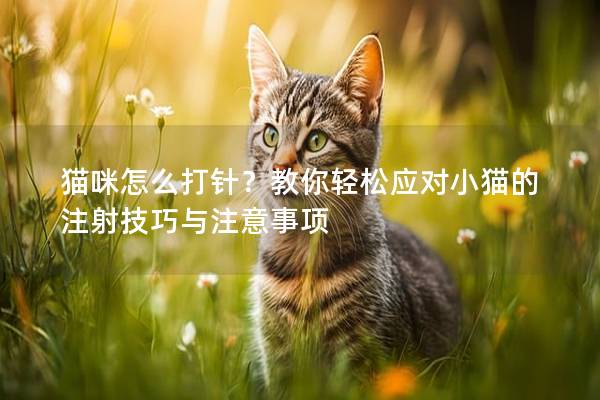 猫咪怎么打针？教你轻松应对小猫的注射技巧与注意事项