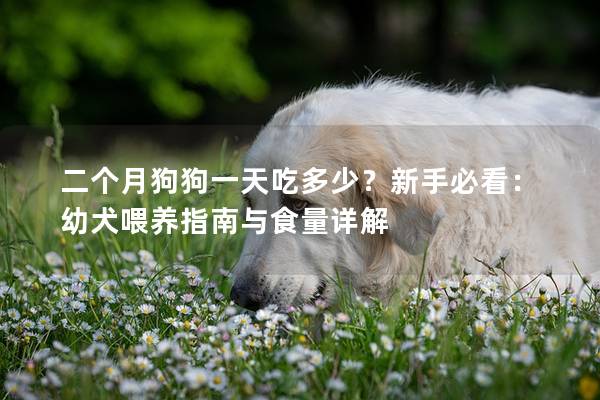 二个月狗狗一天吃多少？新手必看：幼犬喂养指南与食量详解
